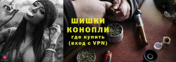 дживик Богородск