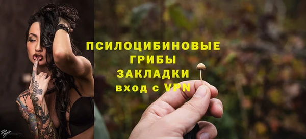 дживик Богородск