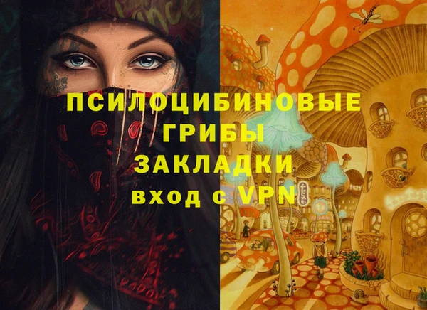 герыч Бронницы