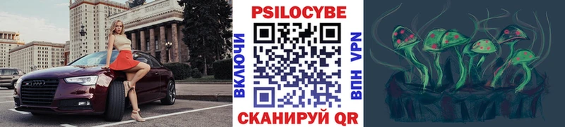 как найти наркотики  shop как зайти  Галлюциногенные грибы Psilocybe  Грязовец 
